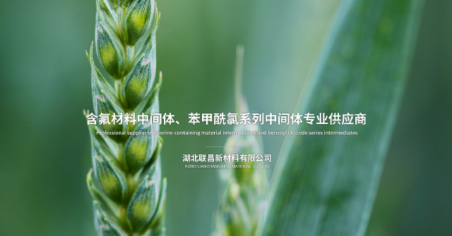 湖北联昌新材料有限公司
