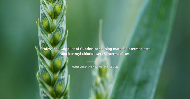 Hubei Lianchang New Material Co., Ltd.