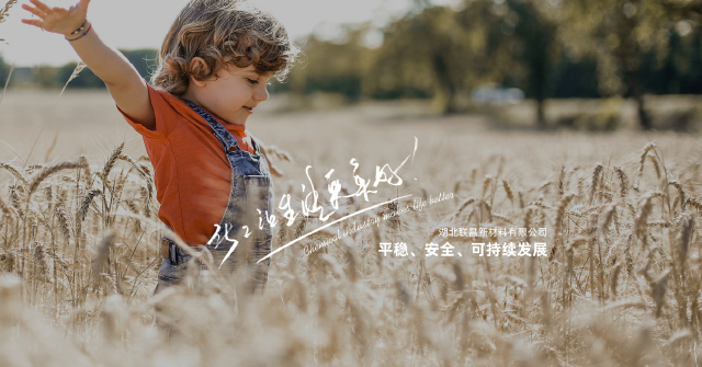 湖北联昌新材料有限公司